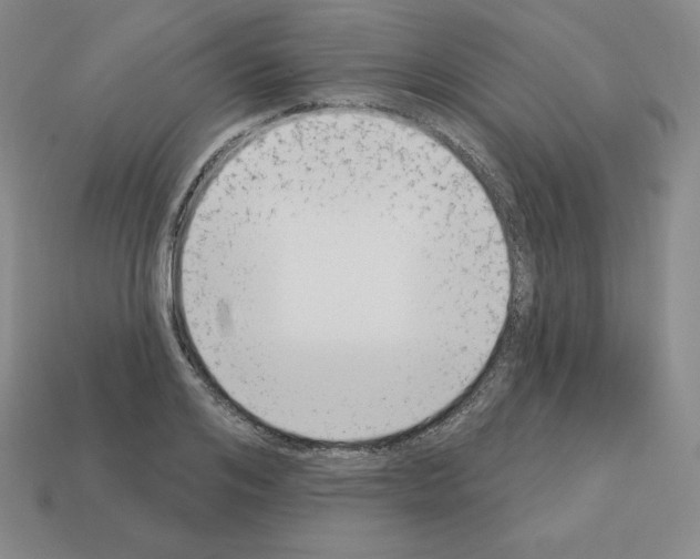 X0000112860984200910021308