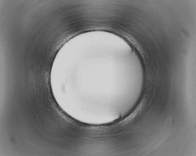 X0000112860985200910021308