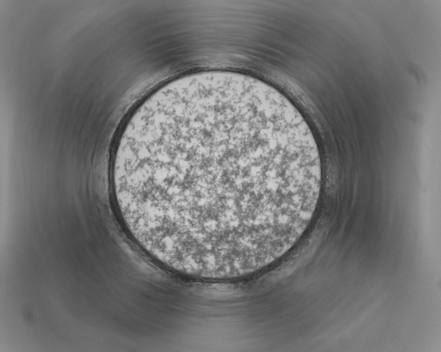 X0000112860986200910021308