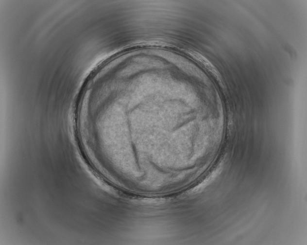 X0000112860989200910021308
