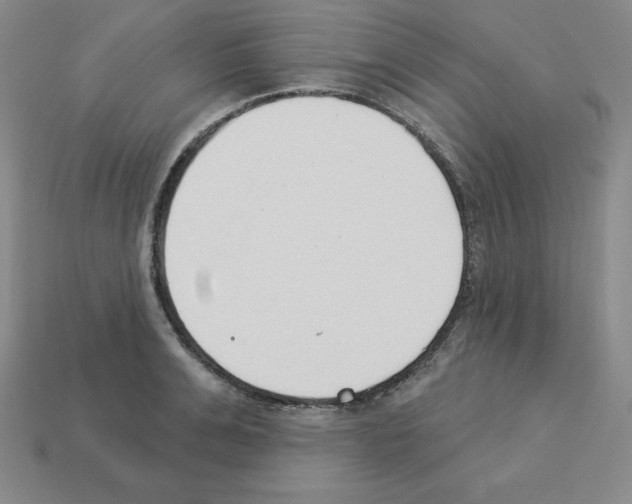 X0000112860991200910021308