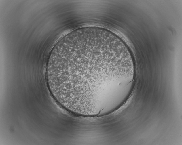 X0000112860993200910021308