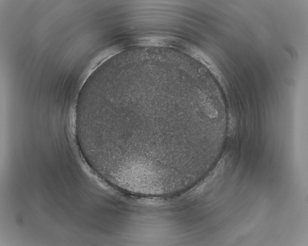 X0000112860994200910021308
