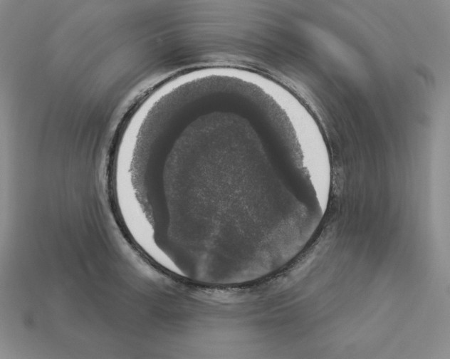 X0000112860995200910021308