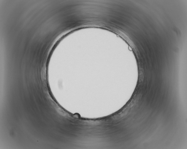 X0000112860996200910021308