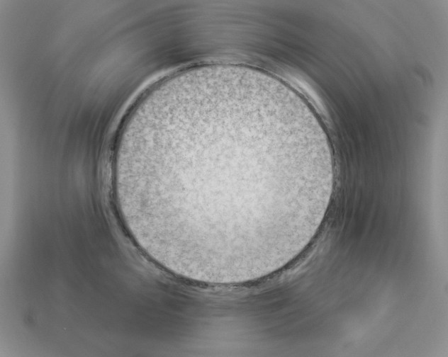 X0000112861000200910021308