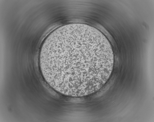 X0000112861002200910021308