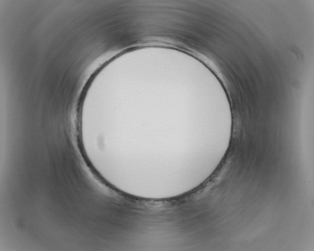 X0000112861003200910021308