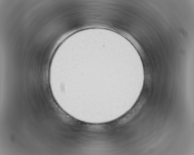 X0000112861004200910021308