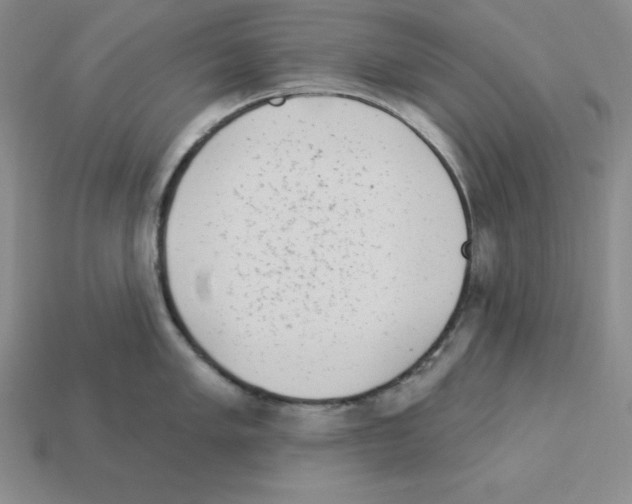 X0000112861005200910021308
