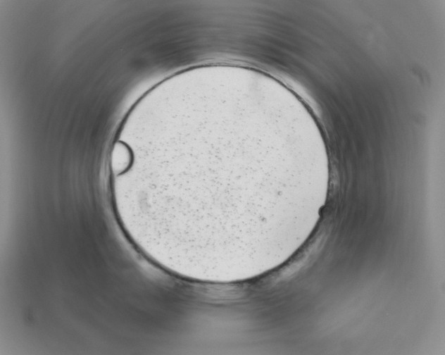 X0000112861007200910021308