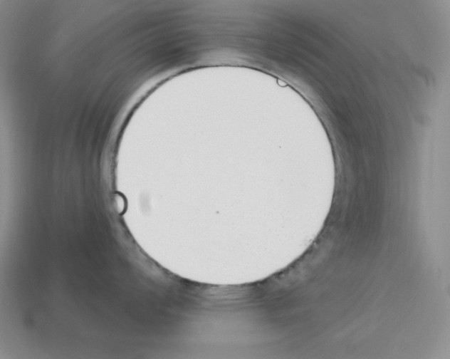 X0000112861008200910021308
