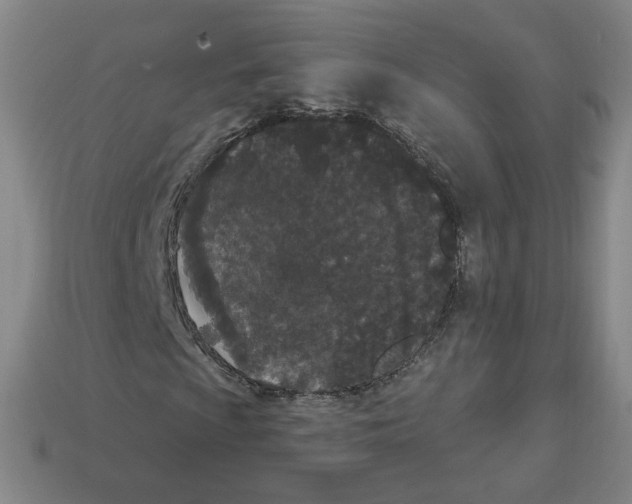 X0000112861009200910021307
