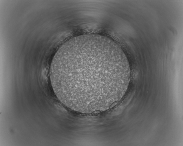 X0000112861010200910021307