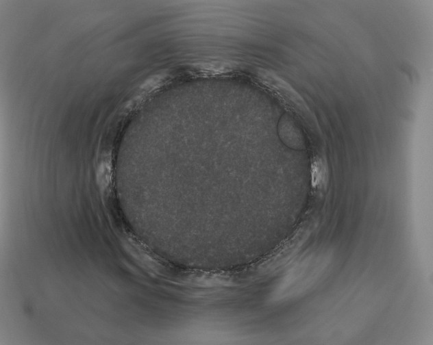 X0000112861011200910021307