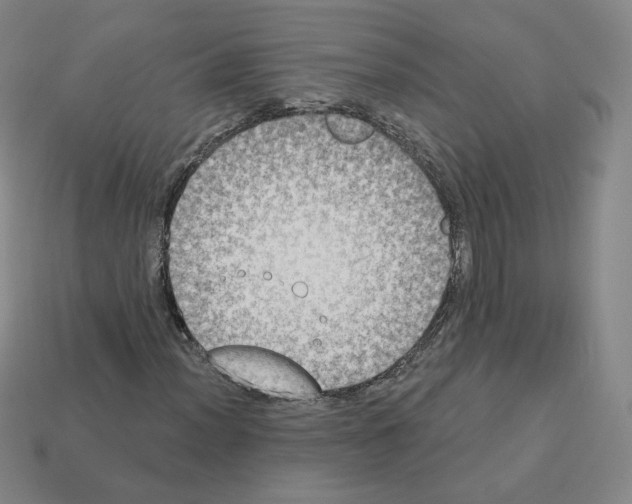 X0000112861012200910021307