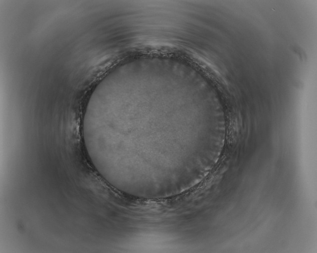 X0000112861013200910021307