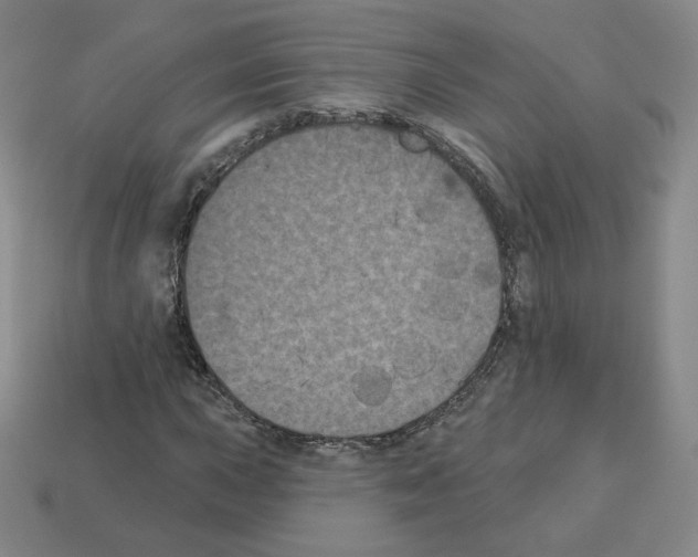 X0000112861015200910021307