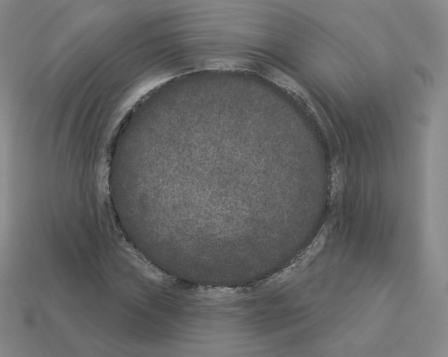 X0000112861019200910021307