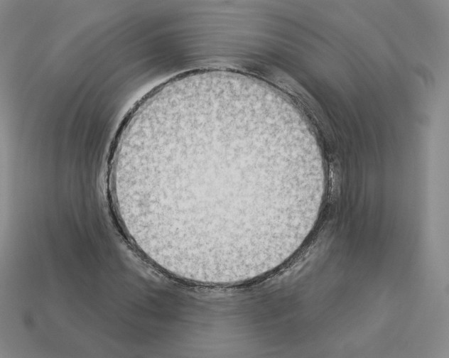 X0000112861020200910021307