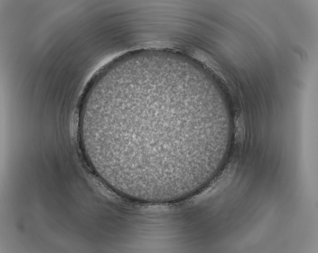 X0000112861021200910021307