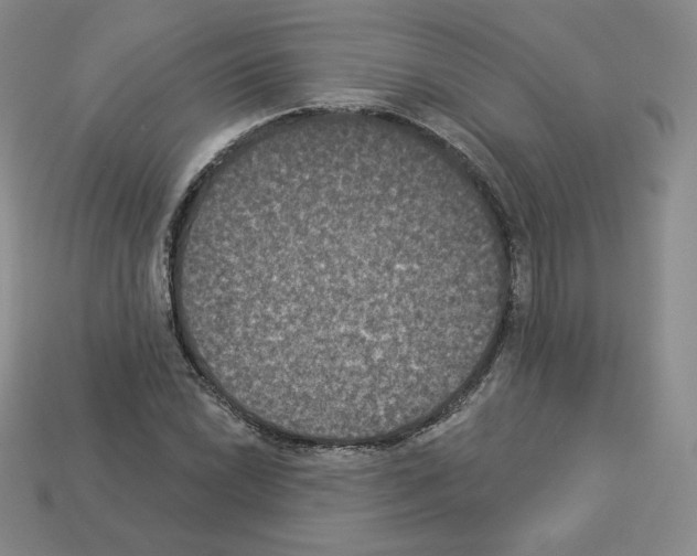X0000112861022200910021307
