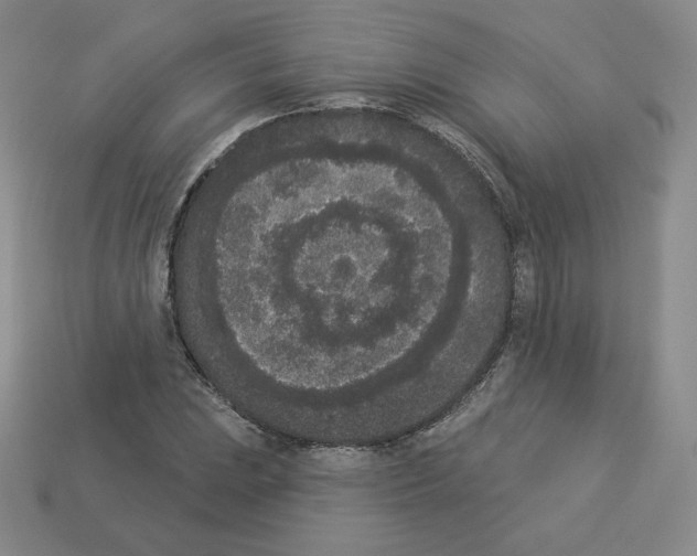 X0000112861023200910021307