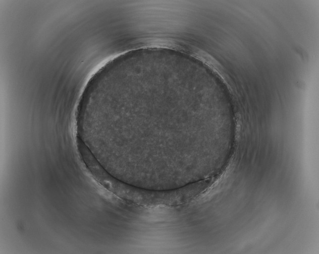X0000112861024200910021307