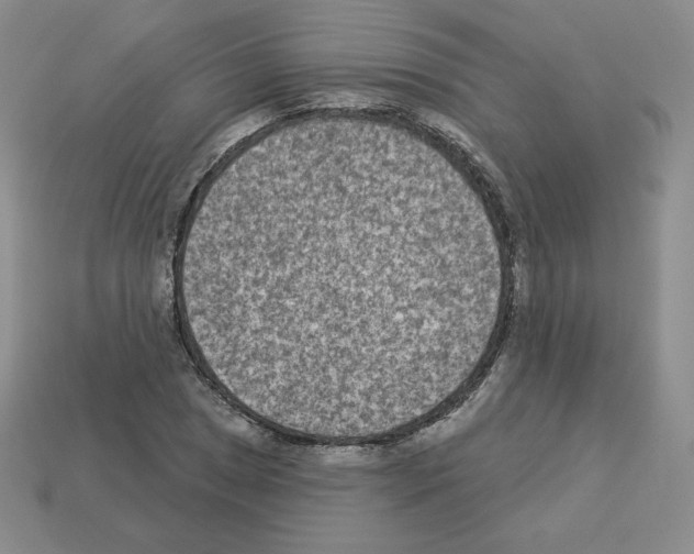 X0000112861025200910021307