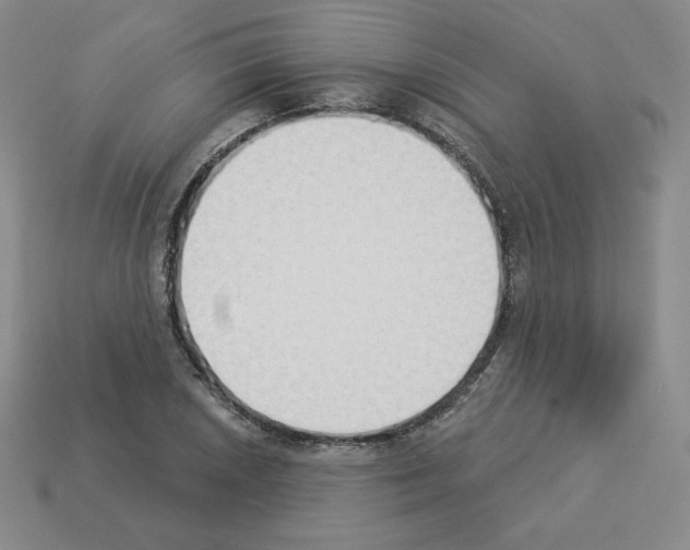 X0000112861026200910021307