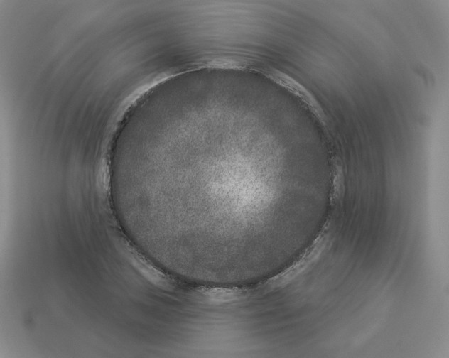 X0000112861027200910021307