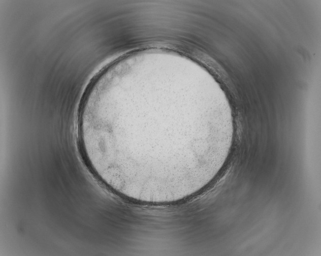 X0000112861028200910021307