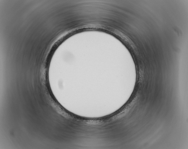 X0000112861029200910021307
