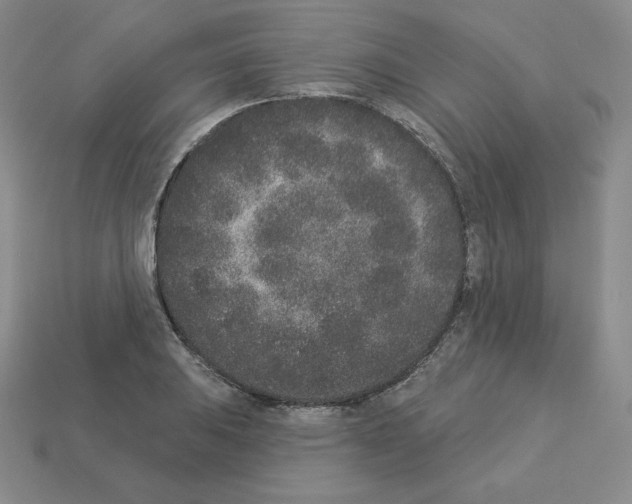 X0000112861031200910021307