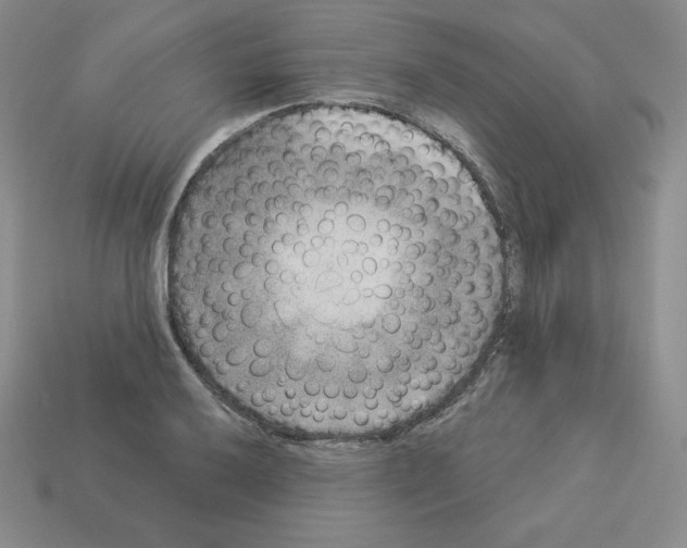 X0000112861032200910021307