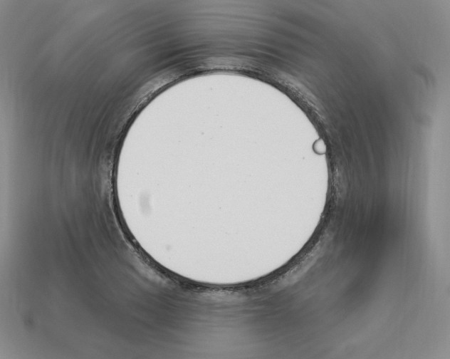 X0000112861033200910021307
