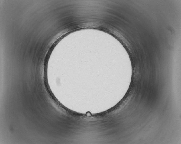 X0000112861034200910021307