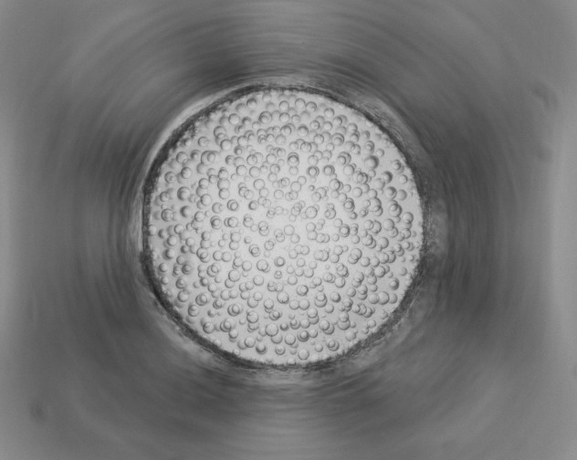 X0000112861036200910021307