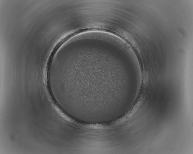 X0000112861037200910021307