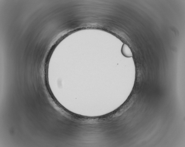 X0000112861038200910021307