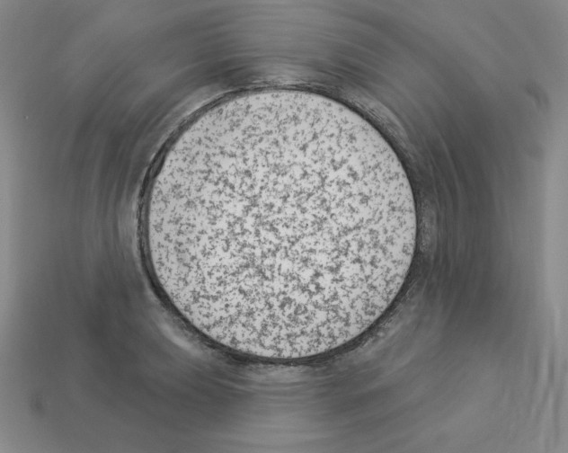 X0000112861039200910021307