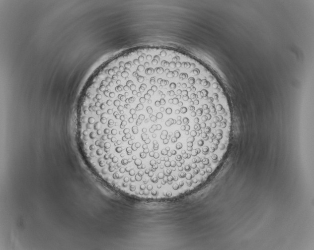 X0000112861040200910021307