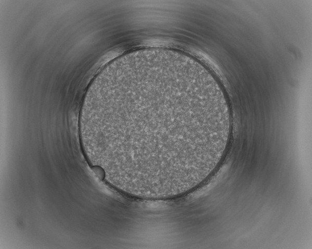 X0000112861041200910021307