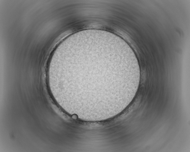 X0000112861042200910021307