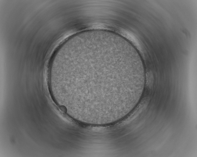X0000112861043200910021307