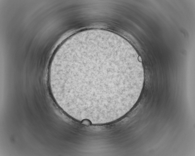X0000112861044200910021307