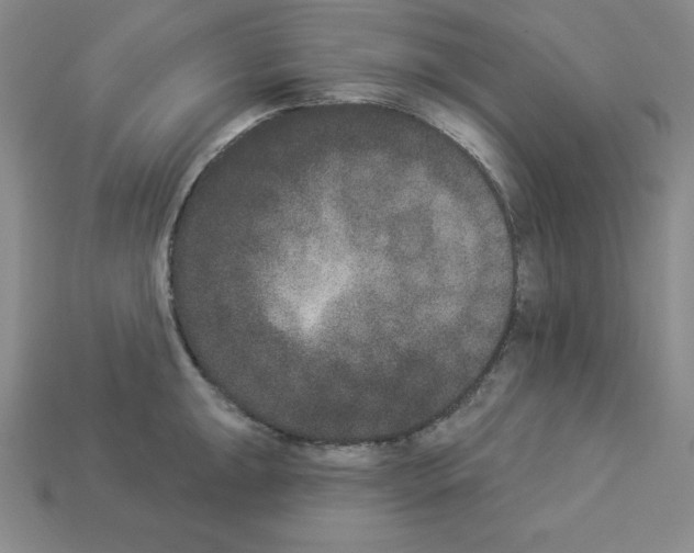 X0000112861047200910021308