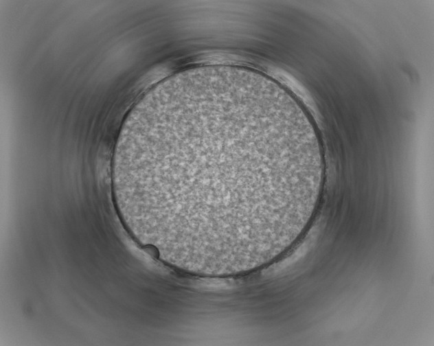X0000112861049200910021308