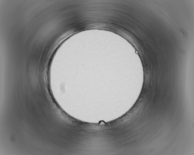 X0000112861050200910021308