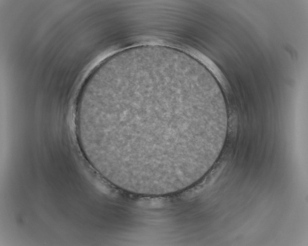 X0000112861051200910021308